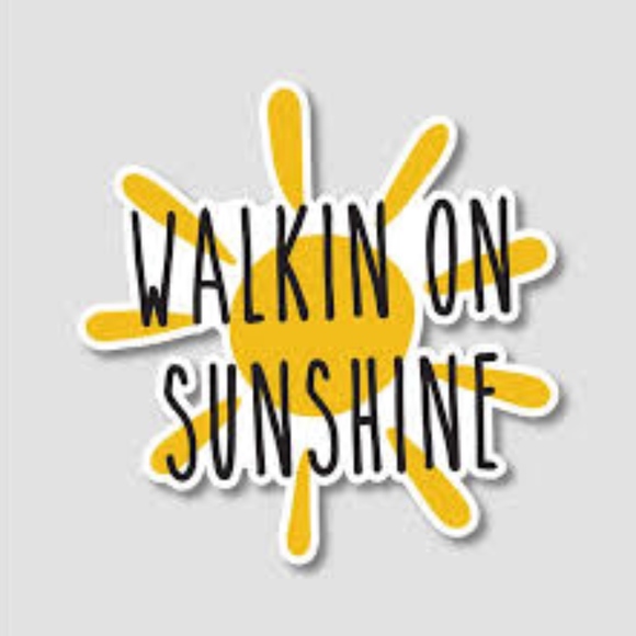 SUNSHINE SHADES! - Picture 1 of 1